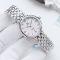 OMEGA Silver Watch — hero